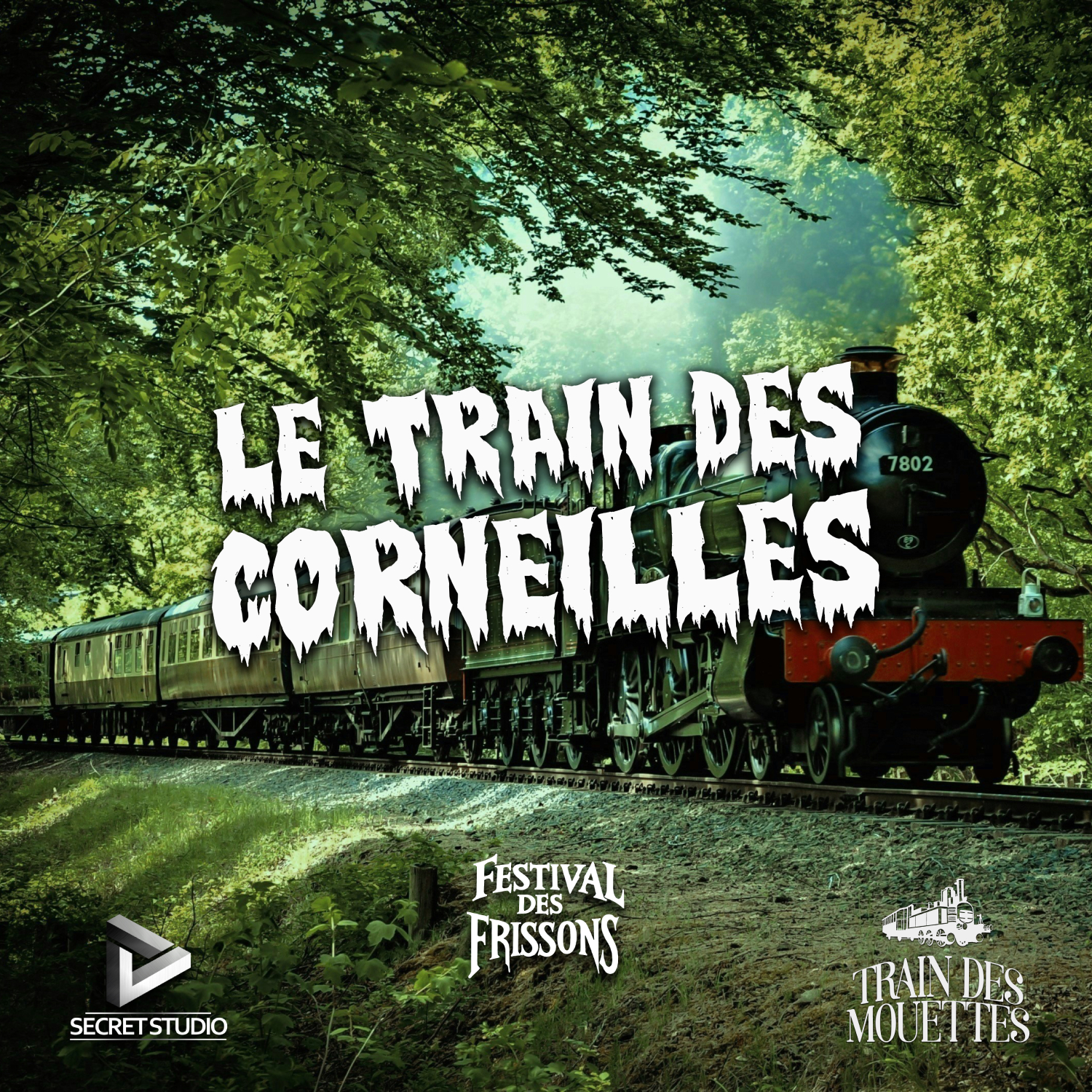 https://www.traindesmouettes.fr/wp-content/uploads/2024/10/Train-des-Corneilles_V2.2.jpg